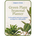 Designer's Choice - Variety of Green Plants